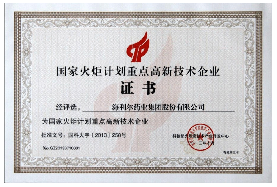 國(guó)家火炬計(jì)劃重點(diǎn)高新技術(shù)企業(yè).png