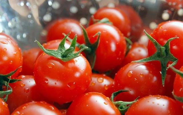 西紅柿、煙草青枯病最新研究發(fā)現(xiàn)“靶向療法”